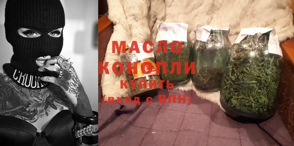 индика Волосово